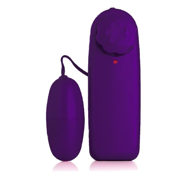 Foto do produto Vibrador Meu Bullet  - Roxo