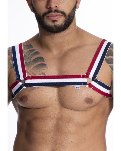 Foto do produto Harness em Elástico Vermelho e Azul