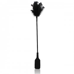 Plumas para Experiência Sensorial