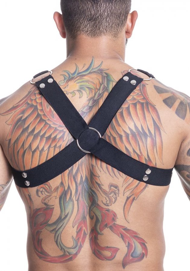 Foto do produto Harness em Elástico com Metal