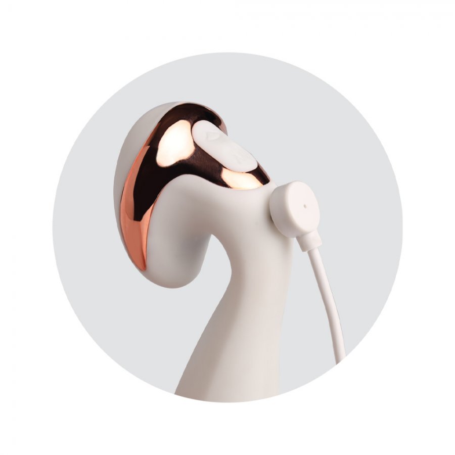 Foto do produto My Moment: Vibrador e Pulsador Recarregável