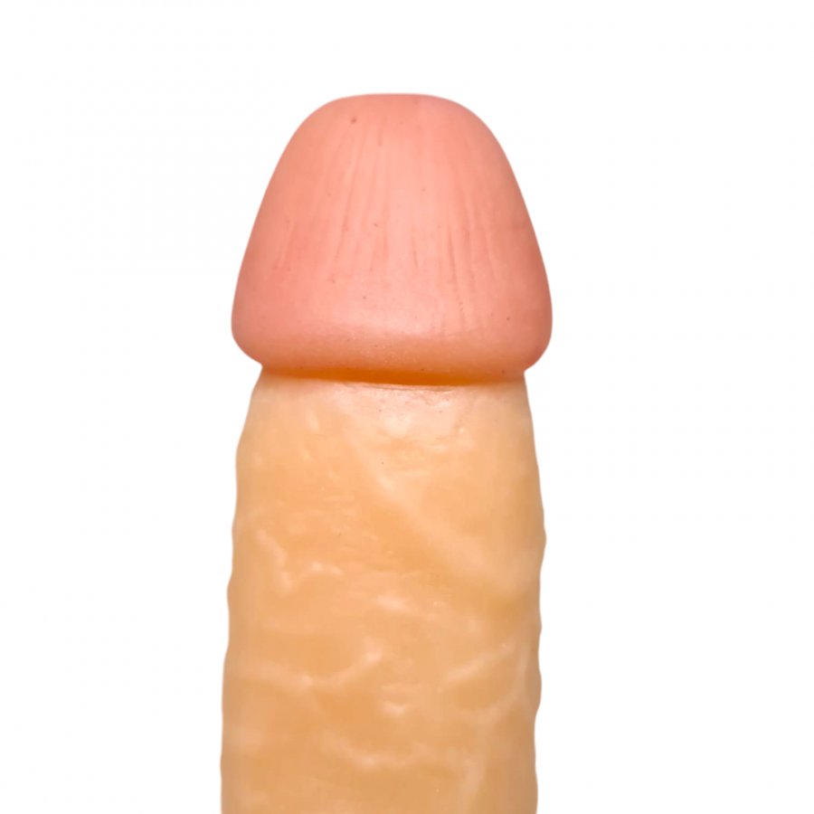 Foto do produto Pênis em Silicone Macio 20x4cm