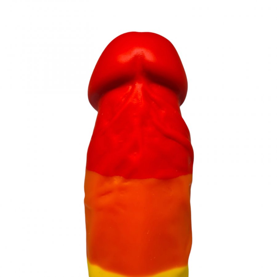 Foto do produto Dildo Arco Íris em Silicone 20x4cm