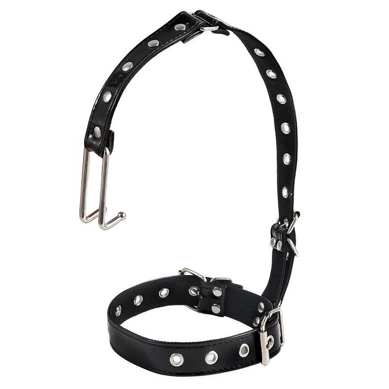 Foto do produto Coleira com Estirante Nasal