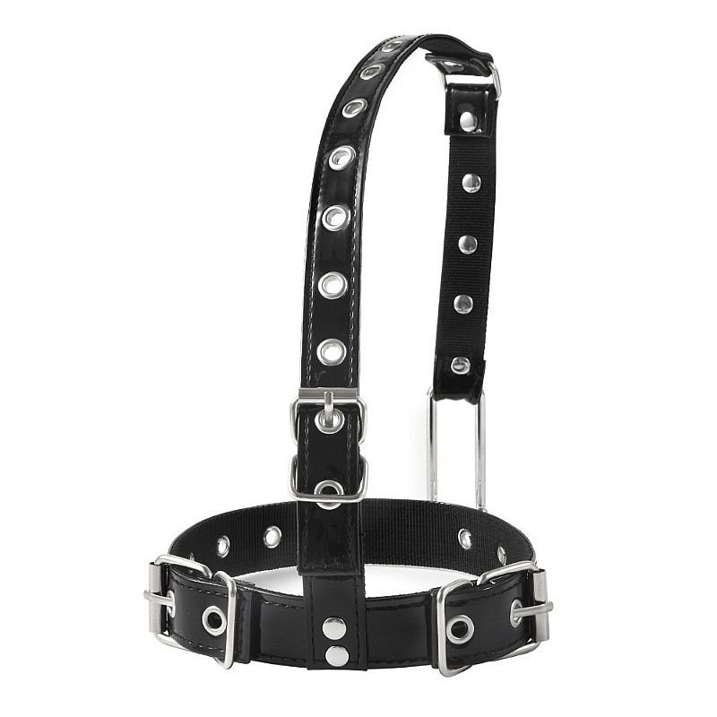 Foto do produto Coleira com Estirante Nasal
